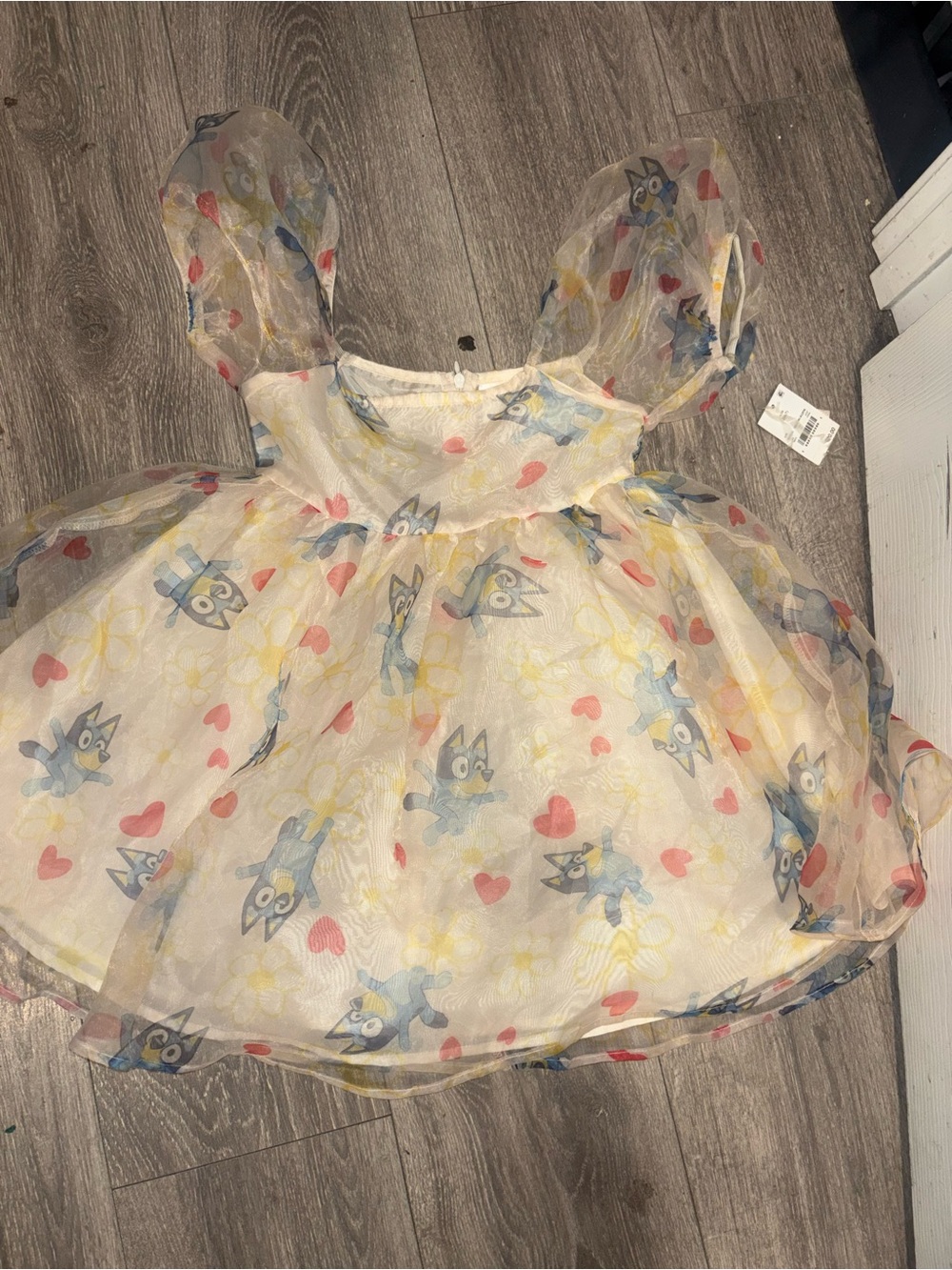 Bluey Dress